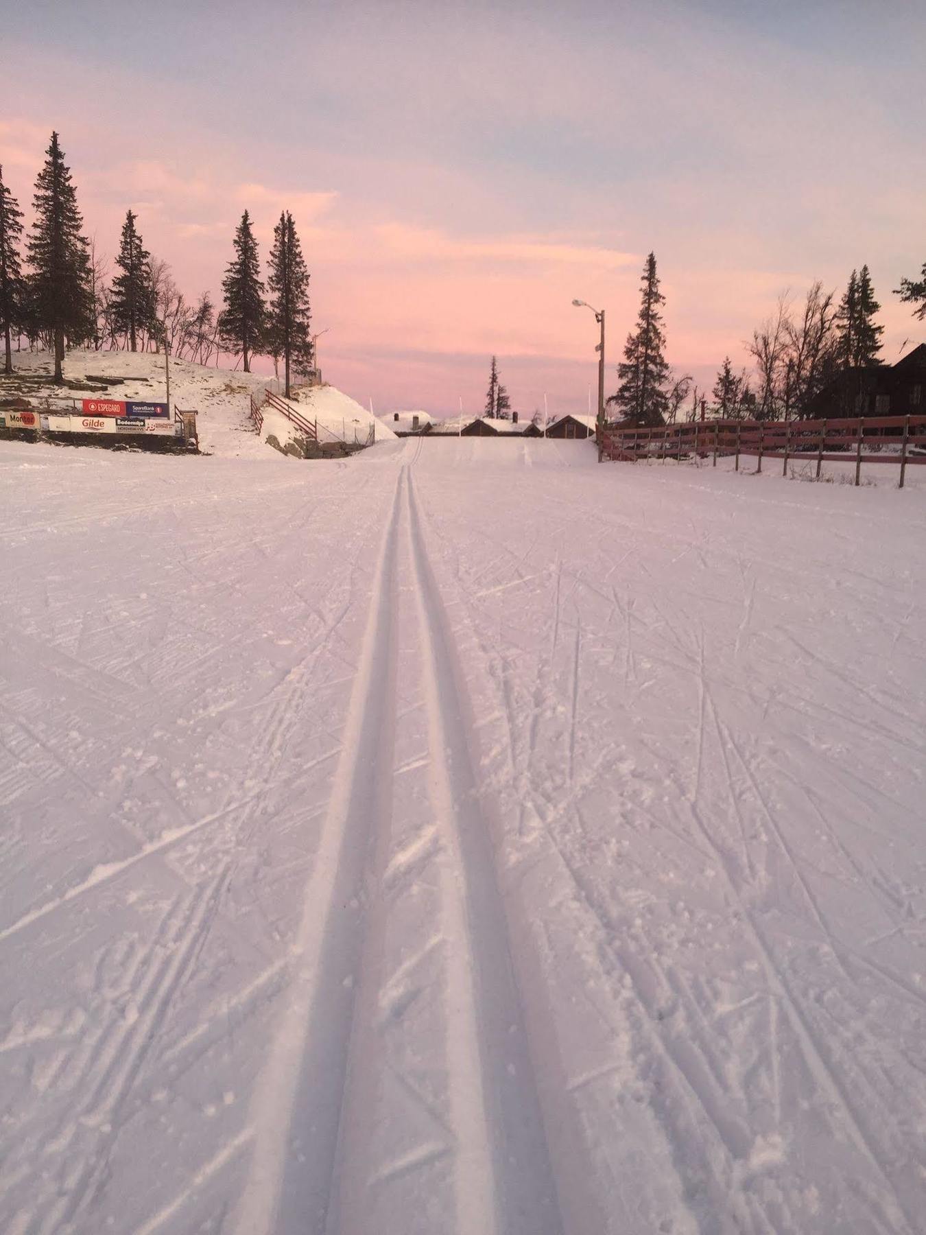 Liatoppen Fjellhotell Ål Exterior foto